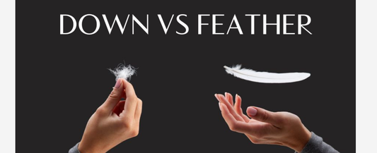 Duck Feather vs Down Pillows: What’s the Difference and Which Is Better?